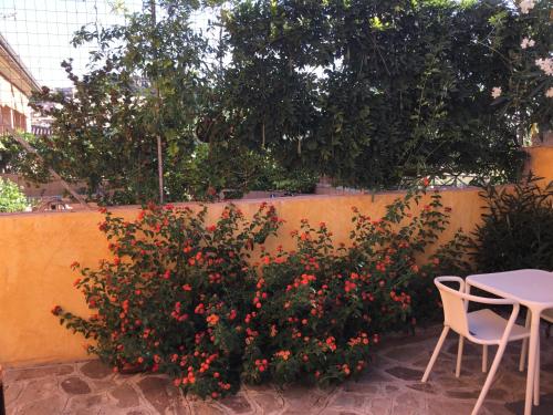 a bush with red flowers next to a table and a fence at B&B Levante Posada in Posada