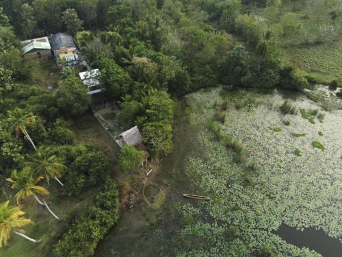 an aerial view of a house in the jungle at Three Little Birds in Tangalle