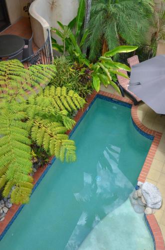 a swimming pool with a bunch of plants around it at Villa San Michele (Official) in Port Douglas