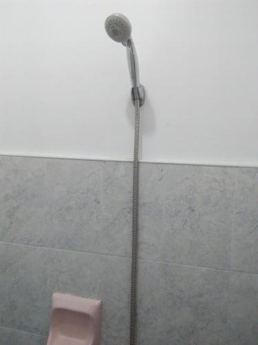 a shower in a bathroom with a pink toilet at Lapyahan Guest House in Siquijor