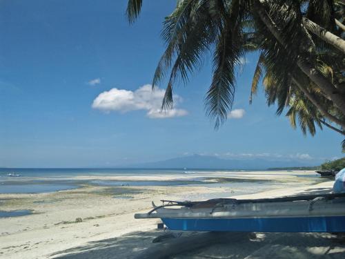 a beach with a palm tree and a boat on it at Lapyahan Guest House in Siquijor