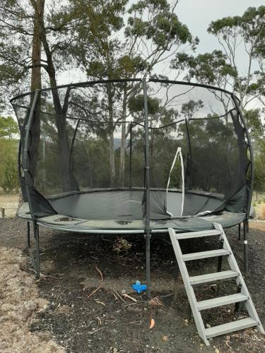 a trampoline with a ladder in front at Spring Beach Garden Retreat in Spring Beach