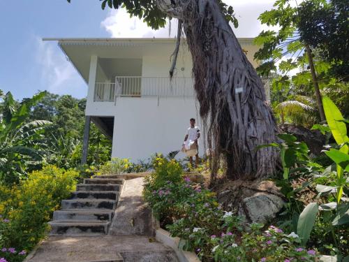 a person standing in front of a house next to a tree at Chepsted Chalets in Glacis
