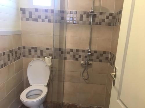 a small bathroom with a toilet and a shower at kaze manouilh in Hell-Bourg
