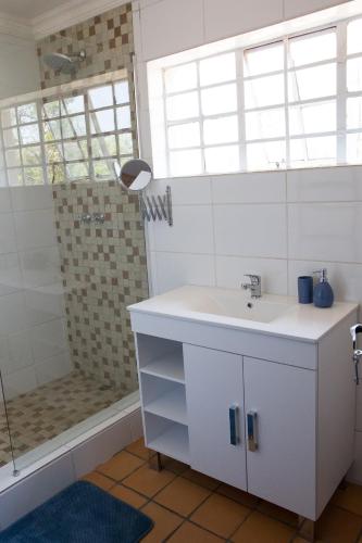 a bathroom with a sink and a shower at Bridgewaters Horse Park Tranquil Country Cottage in Hekpoort