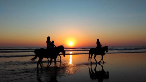 two people riding horses on the beach at sunset at Windtown Lagoon Hotel in Langebaan