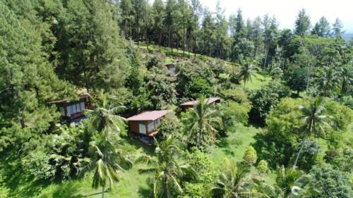 
A bird's-eye view of Manohara Resort
