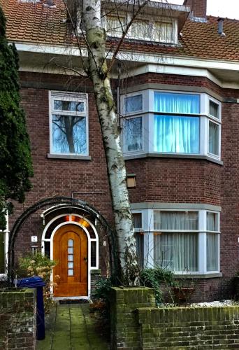 een stenen huis met een bruine deur en een boom bij Brandy’s in Den Haag