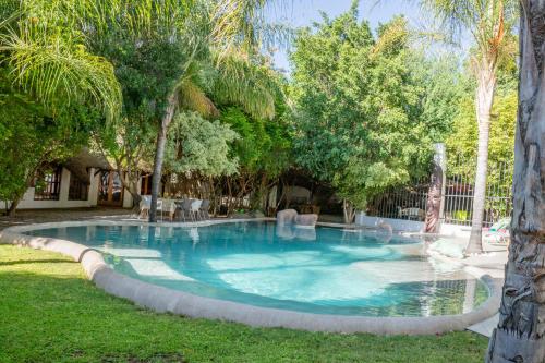 a swimming pool in a yard with trees at Out of Africa Town Lodge in Otjiwarongo