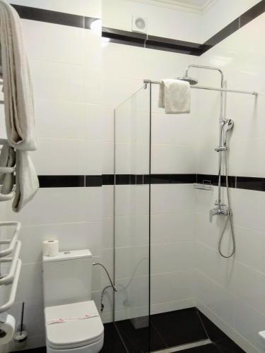 a bathroom with a toilet and a glass shower at Dworek Hetmanski in Stargard
