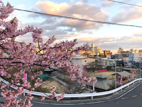 a view of a city with pinkakuraakura trees at Izu Hokkawa Seaside Guesthouse 伊豆北川の家 in Higashiizu