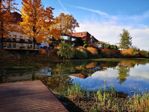 a pond in front of a house with autumn foliage at Pałac Czarny Las (50 km od Katowic) in Woźniki
