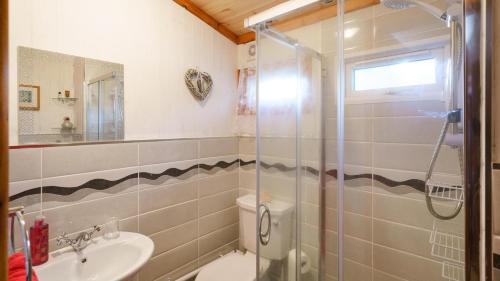 a bathroom with a shower and a toilet and a sink at Bluebell Lodge set in a Beautiful 24 acre Woodland Holiday Park in Newcastle Emlyn
