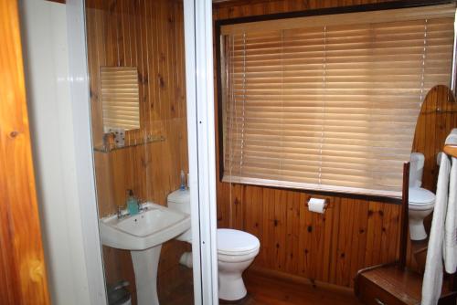 a bathroom with a white toilet and a sink at Lagoon Lodge in Knysna
