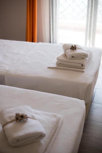 Gallery image of Velanidia Apartments in Plataria