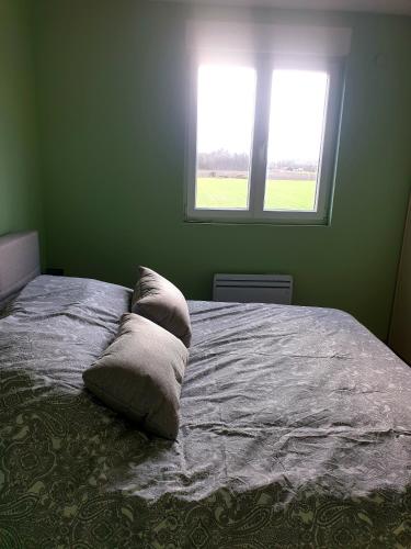 a bed with pillows on it in a room with a window at Maison villa de charme in Saasenheim