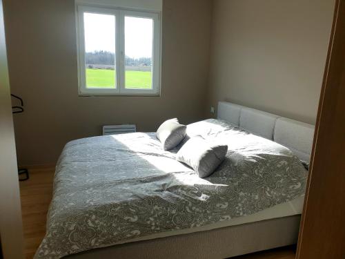 a bedroom with a bed with pillows and a window at Maison villa de charme in Saasenheim