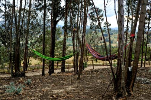two hammocks hanging from trees in a forest at El Bosque de Paipa in Paipa