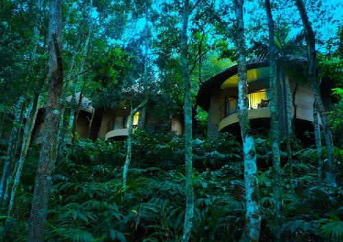 a tree house in the middle of the forest at Poetree Thekkady in Thekkady