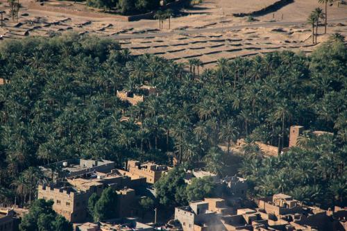 an aerial view of a village with palm trees and houses at Dar Nekhla in Zagora