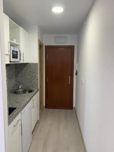 a kitchen with a sink and a wooden door at Rambla 43 in Alicante