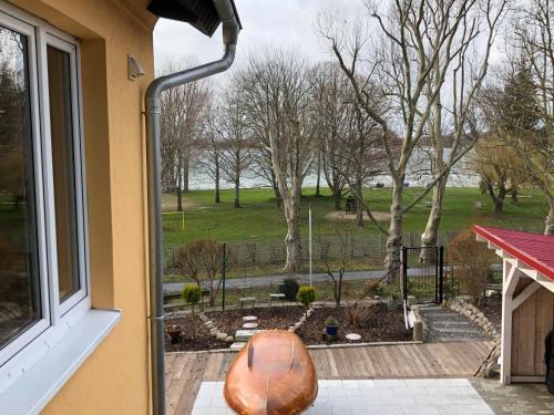 a view of a park from a window at Ferienwohnung Haus am Uckersee in Prenzlau