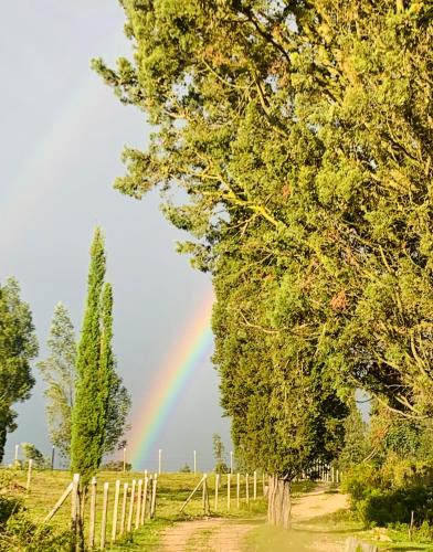 a rainbow over a field with a fence and trees at El Bosque de Paipa in Paipa