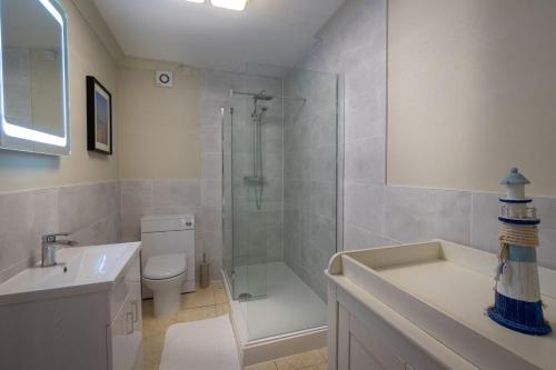 a bathroom with a shower and a toilet and a sink at Graiglwyd Springs Holiday Cottages in Conwy