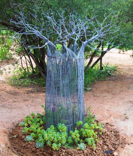 a tree with a net wrapped around it at Baobab - NUDE - SunEden Family Naturist Resort in Pretoria