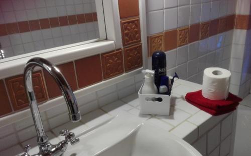 uma casa de banho com um lavatório e um WC com papel higiénico em Mansarda Vista lago a Campodolcino em Campodolcino