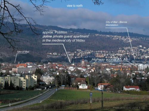 a view of a city from a hill at Joline private guest apartment downtown Nidau in Nidau