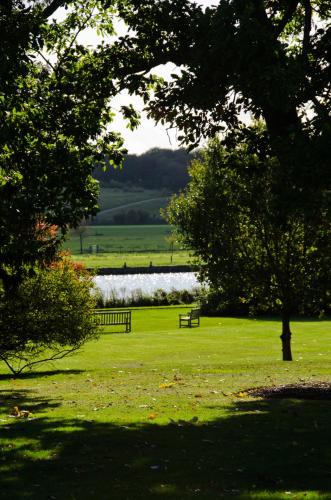 a park with a bench and a lake and trees at Greenlands Hotel in Henley on Thames