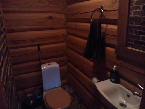 a small bathroom with a toilet and a sink at Vana-Laane Puhkemaja in Otepää