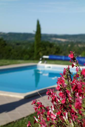 a swimming pool with pink flowers in front of it at Bois de Cadène in Saint-Pierre-de-Buzet