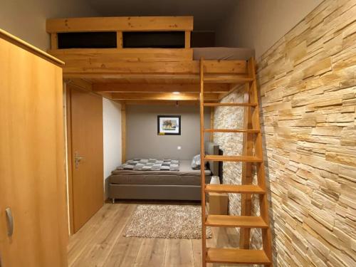 a bedroom with a bunk bed and a ladder at Reiger Ferienwohnungen in Wackersdorf