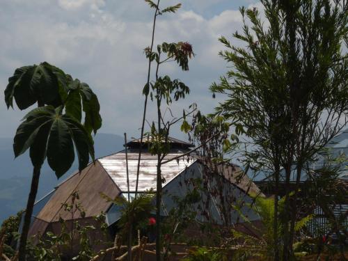 a house in the middle of some trees at Nacimiento Glamping in San Agustín