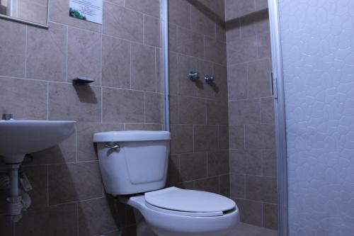 a bathroom with a toilet and a sink and a shower at Hotel Plaza Aleman in León