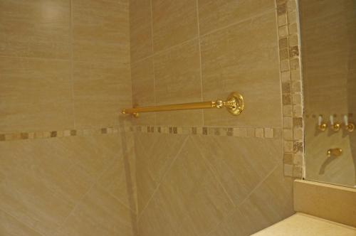 una ducha con puerta de cristal con mango dorado en Hotel Sussex en Córdoba