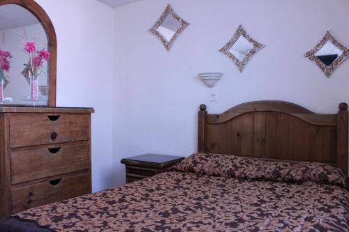 a bedroom with a bed and a dresser and a mirror at Hotel Plaza Aleman in León