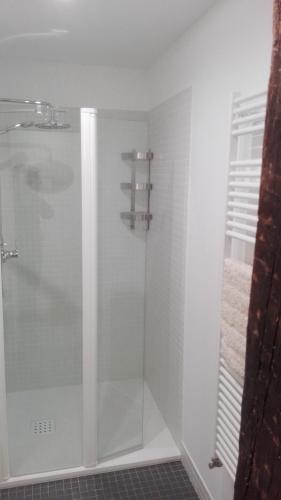 a shower with a glass door in a bathroom at Apartamentos Turísticos Los Picos in Liérganes