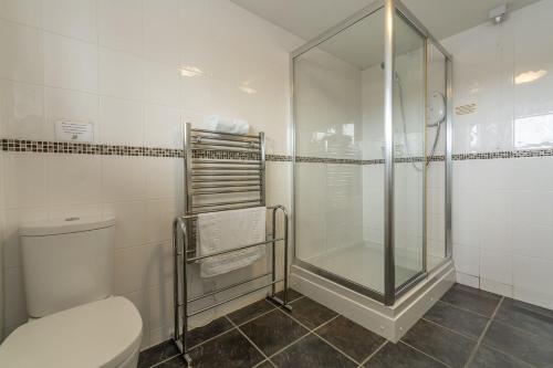 a bathroom with a shower and a toilet at Copperhouse View in Hayle