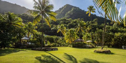 a lawn with palm trees and mountains in the background at Sugar Beach, A Viceroy Resort in Soufrière