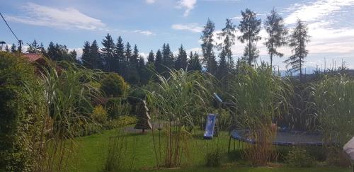 a garden with a table and some tall grass at Knusperhäuschen Maria Nikoletta in Witra