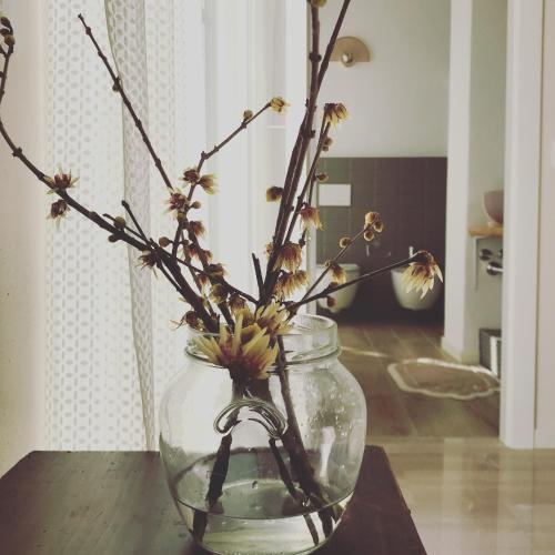 a glass vase with flowers in it on a table at Corte Viviani in Brescia