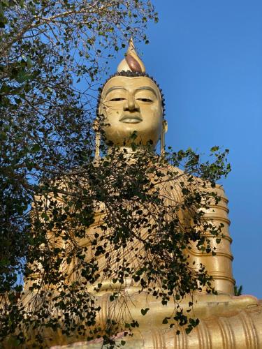 a large statue of a face behind a tree at Singhe House in Dickwella
