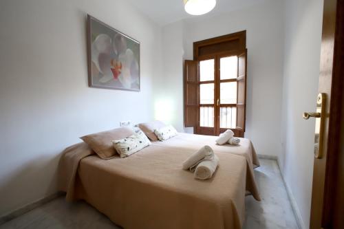 Valencia Centro. Wifi/AACC Jacuzzi
