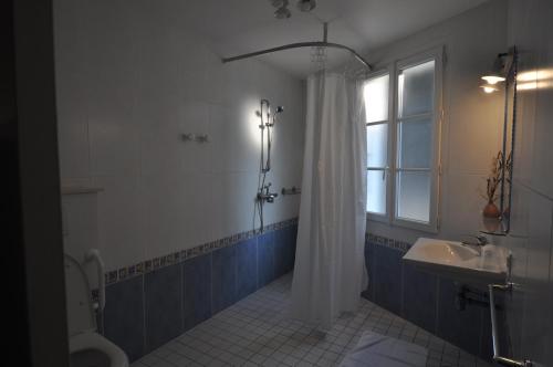 a bathroom with a shower and a toilet and a sink at Le Concept Hotel in Les Portes
