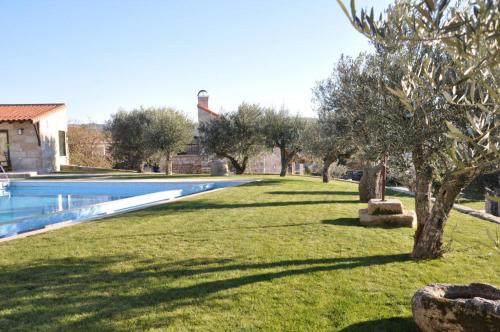 a large yard with a swimming pool and trees at Quinta do Olival in Vilas Boas