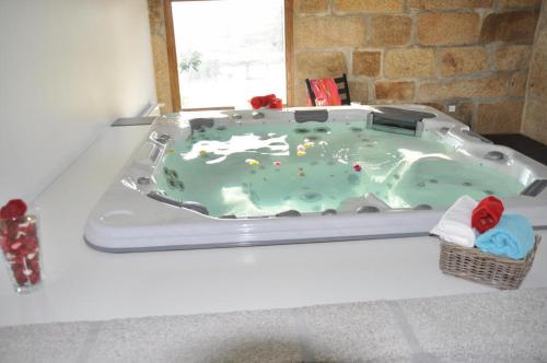 a bath tub sitting on top of a table at Quinta do Olival in Vilas Boas