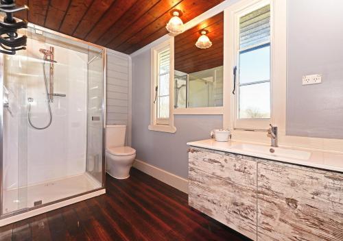 uma casa de banho com um chuveiro, um lavatório e um WC. em Ventnor Guest House em South Bruny